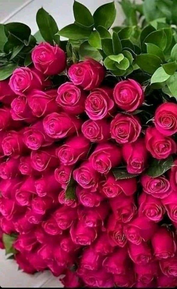Eternal Elegance Blossom Array